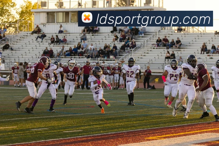 App Interface Preview